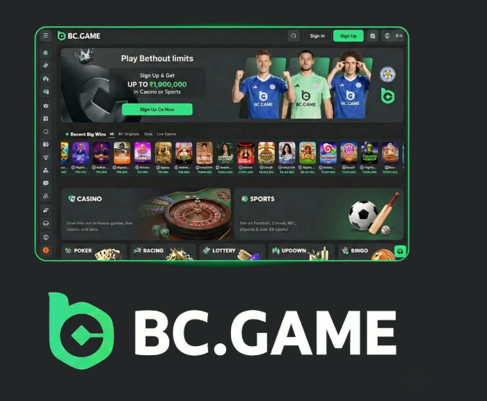 Exploring BC.Game Casino A Comprehensive Guide -378284213 Exploring BC.Game Casino A Comprehensive Guide -378284213